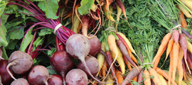 Root vegetables