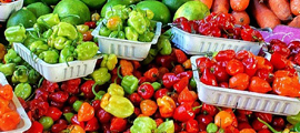 Sackett Farm peppers