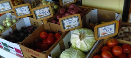 cabbage and tomatoes