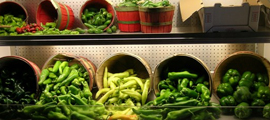Mill's Brothers poblanos