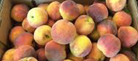 peaches