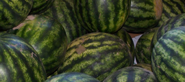 Smith Farm watermelons