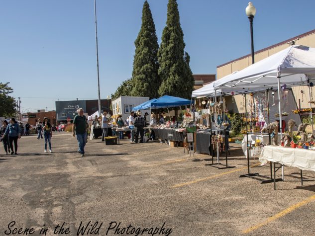 La Junta Tarantula Fest Vendors