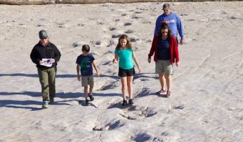 Family hiking along dinosaur tracks
