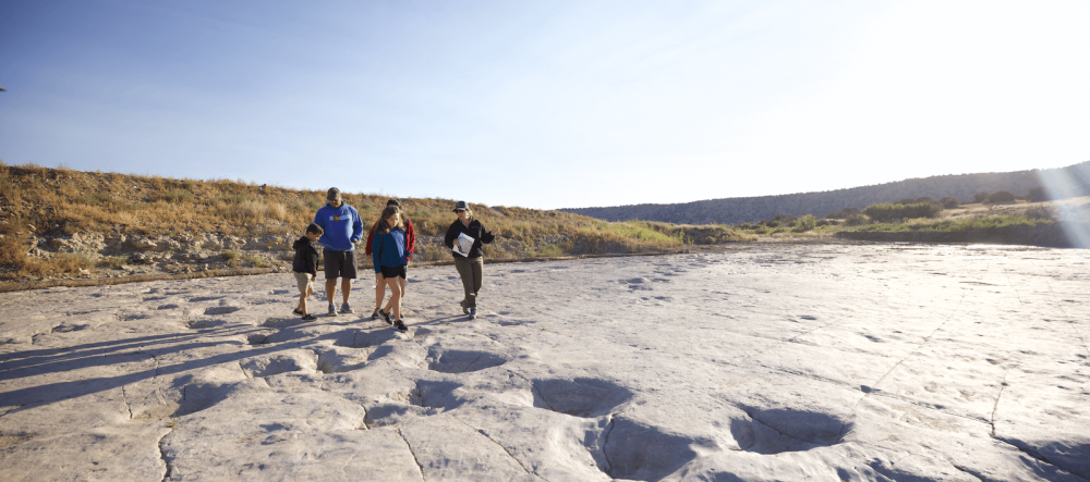 family walking along enormous dinosaur tracks