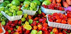Sackett Farm peppers