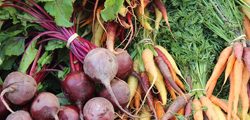 Root vegetables