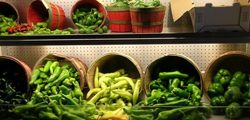 Mill's Brothers poblanos