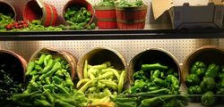 Mill's Brothers poblanos