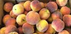 peaches